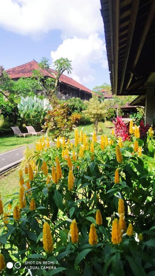 Hotel Puri Padi Ubud Exterior foto